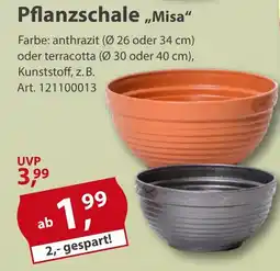 Sonderpreis Baumarkt Pflanzschale,,Misa" Angebot