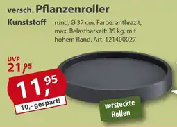 Sonderpreis Baumarkt versch. Pflanzenroller Angebot