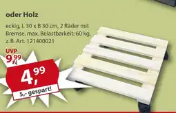 Sonderpreis Baumarkt versch. Pflanzenroller Angebot