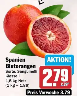 HIT Spanien Blutorangen Angebot