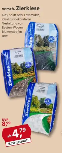 Sonderpreis Baumarkt versch. Zierkiese Angebot