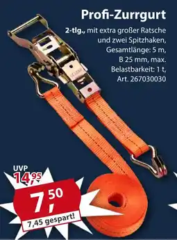 Sonderpreis Baumarkt Profi-Zurrgurt Angebot