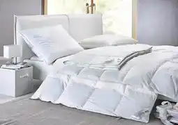 Mömax Daunendecke Angebot