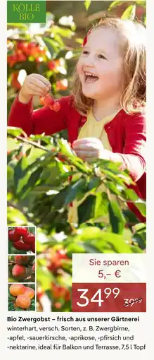 Pflanzen Kölle Kölle bio bio zwergobst Angebot