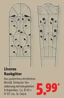 Lidl Livarno Rankgitter Angebot
