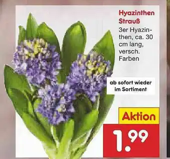 Netto Marken-Discount Hyazinthen Strauß Angebot