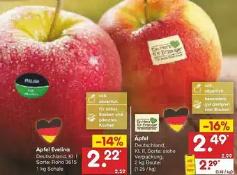 Netto Marken-Discount Apfel Evelina Oder äpfel Angebot