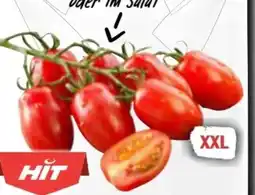 AEZ Hit Mini Romarispentomaten XXL Angebot