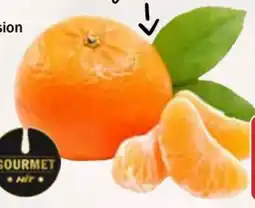 AEZ Gourmet Hit Mandarinen Angebot