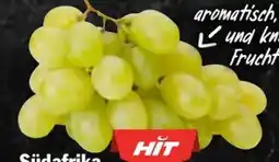 AEZ Hit Tafeltrauben Angebot