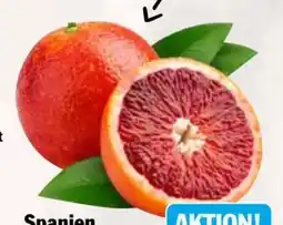 AEZ Blutorangen Sanguinelli Angebot