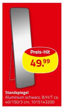ROLLER Standspiegel Angebot