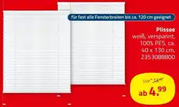 ROLLER Plissee Angebot