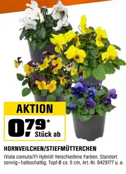 OBI HORNVEILCHEN/STIEFMÜTTERCHEN Angebot