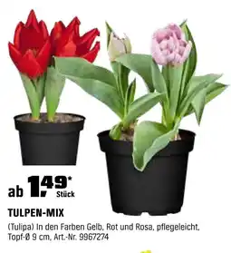 OBI TULPEN-MIX Angebot