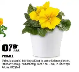OBI PRIMEL Angebot