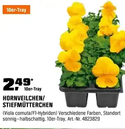 OBI HORNVEILCHEN/ STIEFMÜTTERCHEN Angebot