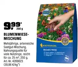 OBI BLUMENWIESE- MISCHUNG Angebot