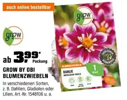 OBI GROW BY OBI BLUMENZWIEBELN Angebot