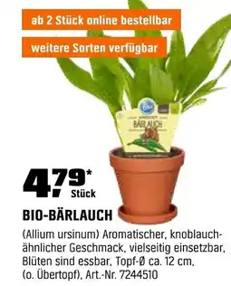 OBI BIO-BÄRLAUCH Angebot
