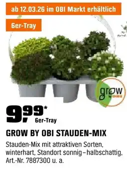 OBI GROW BY OBI STAUDEN-MIX Angebot