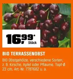 OBI BIO TERRASSENOBST Angebot