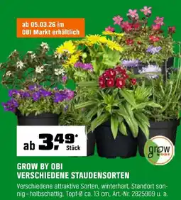 OBI GROW BY OBI VERSCHIEDENE STAUDENSORTEN Angebot