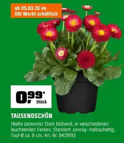 OBI TAUSENDSCHÖN Angebot