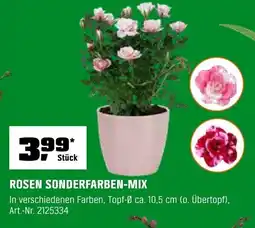 OBI ROSEN SONDERFARBEN-MIX Angebot