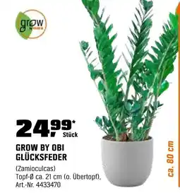 OBI GROW BY OBI GLÜCKSFEDER Angebot