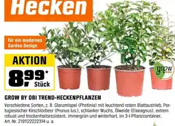 OBI GROW BY OBI TREND-HECKENPFLANZEN Angebot