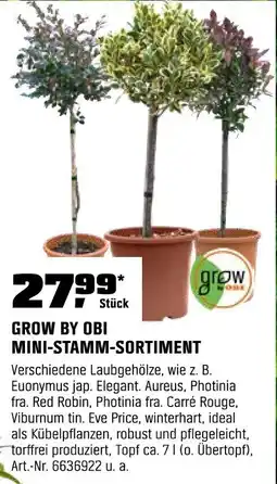 OBI GROW BY OBI MINI-STAMM-SORTIMENT Angebot