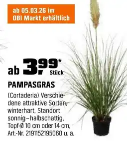 OBI PAMPASGRAS Angebot
