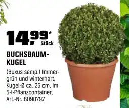 OBI BUCHSBAUM- KUGEL Angebot