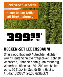OBI HECKEN-SET LEBENSBAUM Angebot