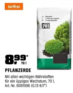 OBI PFLANZERDE Angebot