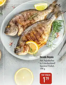 Galeria Markthalle Dorade Royale Angebot