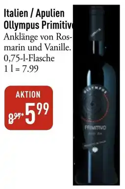 Galeria Markthalle Italien / Apulien Ollympus Primitiv Angebot