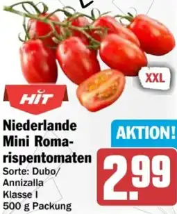 AEZ Niederlande Mini Romarispentomaten Angebot