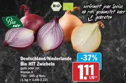 AEZ Deutschland/Niederlande Bio HIT Zwiebeln Angebot