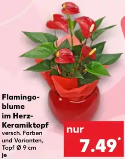 Kaufland Flamingoblume im Herz Keramiktopf Angebot
