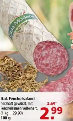 Multi Markt Ital. Fenchelsalami Angebot