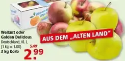 Multi Markt Wellant oder Golden Delicious Angebot