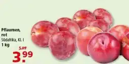 Multi Markt Pflaumen, rot Angebot