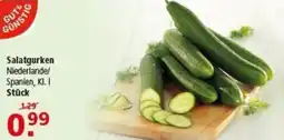 Multi Markt GUT& GÜNSTIG Salatgurken Angebot
