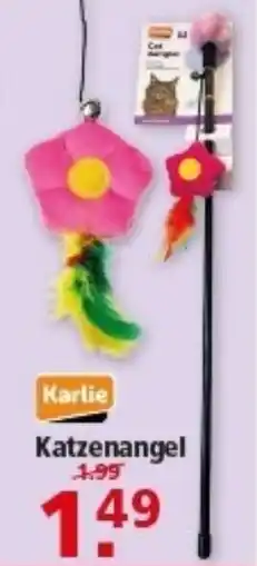 Multi Markt Karlie Katzenangel Angebot