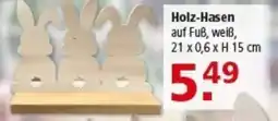 Multi Markt Holz-Hasen Angebot