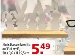 Multi Markt Holz-Hasenfamilie Angebot
