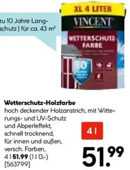 Hellweg Vincent Wetterschutz-Holzfarbe Angebot