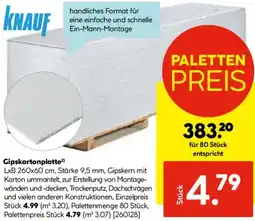 Hellweg KNAUF Gipskartonplatte Angebot